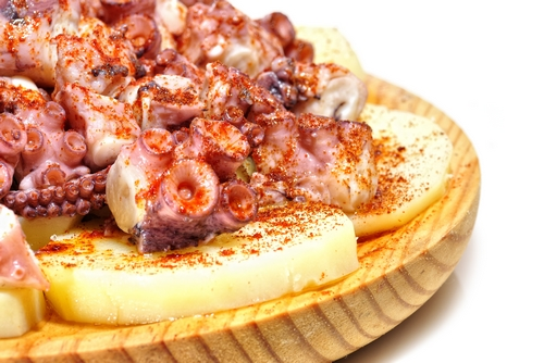 TASTING OF BOILED OCTOPUS 
