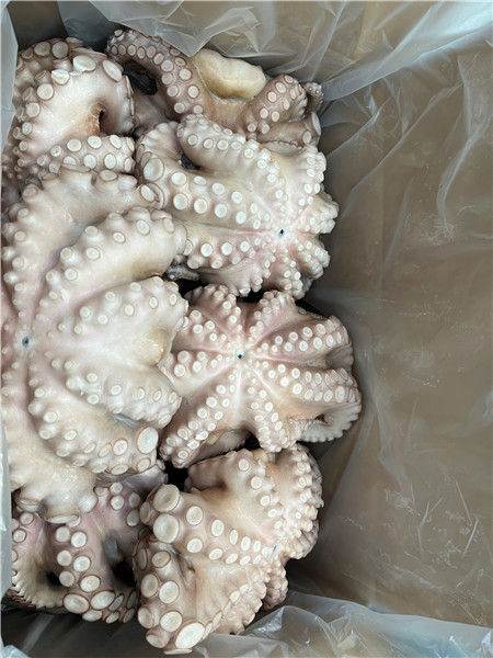 EL REY DEL PULPO
