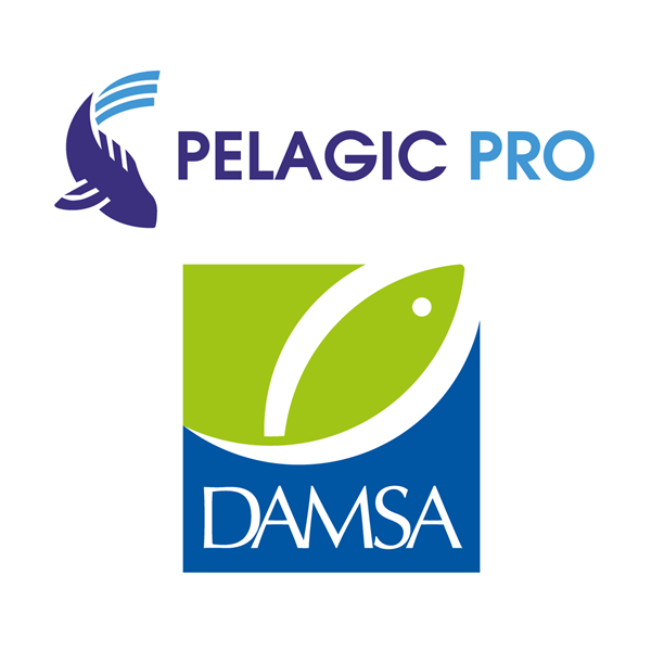 GROUPE DAMSA
