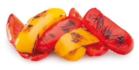CONGELADOS DE NAVARRA