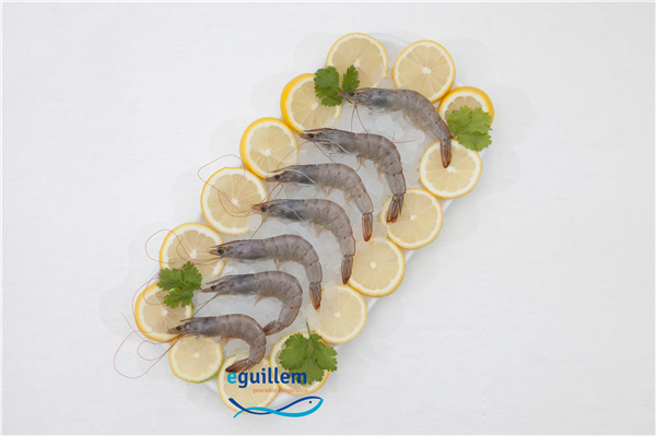 Pescados E.Guillem