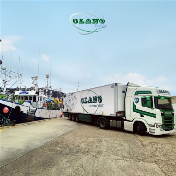OLANO