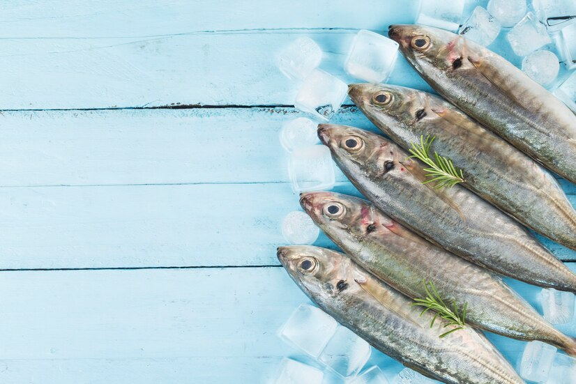 SARMA FISH Conxemar 2024