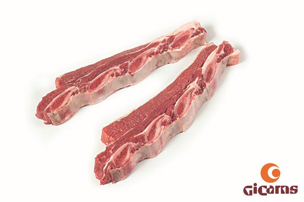 GICARNS