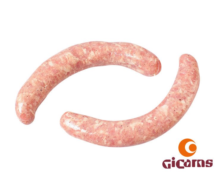 GICARNS