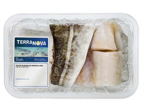 TERRANOVA FRESH