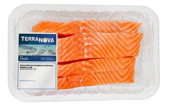 TERRANOVA FRESH