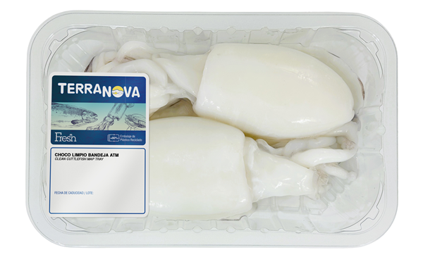 TERRANOVA FRESH