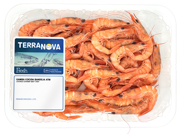 TERRANOVA FRESH