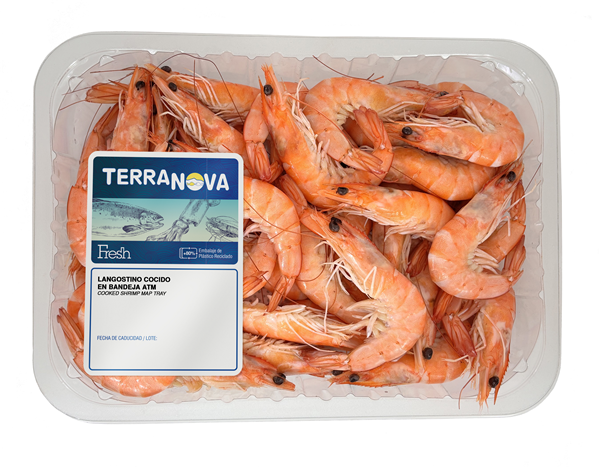 TERRANOVA FRESH