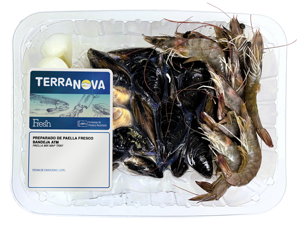 TERRANOVA FRESH