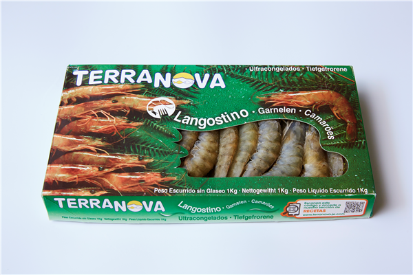 TERRANOVA  Y CORAL