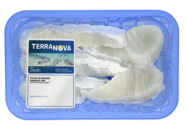 TERRANOVA 