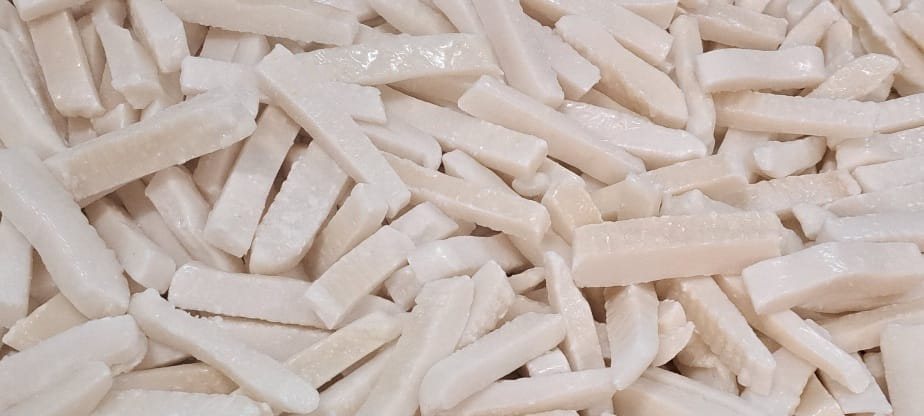 SQUID STRIPS Conxemar 2025