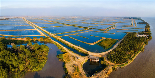 FMO and Grupo Almar: Moving Towards Sustainable Aquaculture