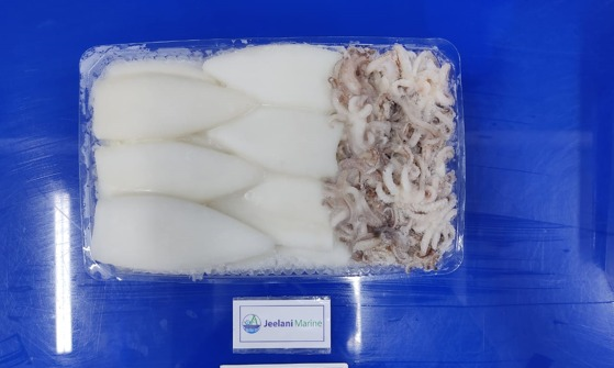 Jeelani Squid 
