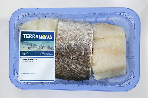 TERRANOVA FRESH