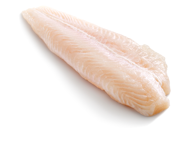 Seacon, Sealight, Happy Fish