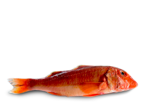 BLAQUS SEAFOOD