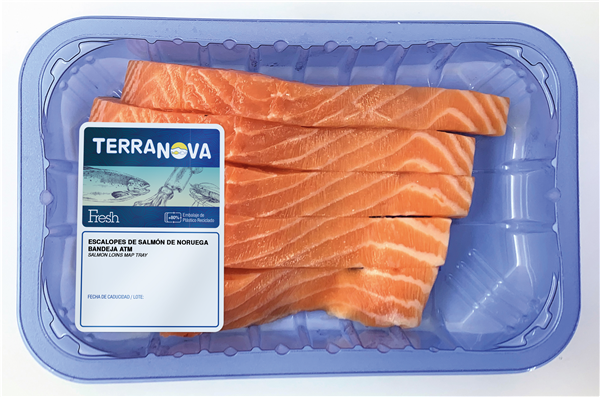 TERRANOVA FRESH