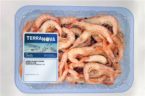 TERRANOVA FRESH