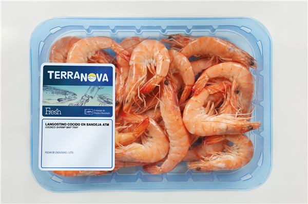TERRANOVA FRESH