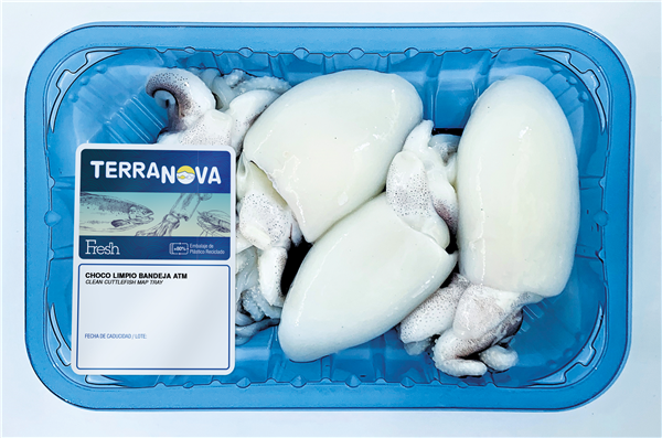 TERRANOVA FRESH