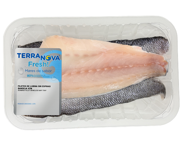 TERRANOVA 