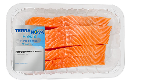 TERRANOVA FRESH