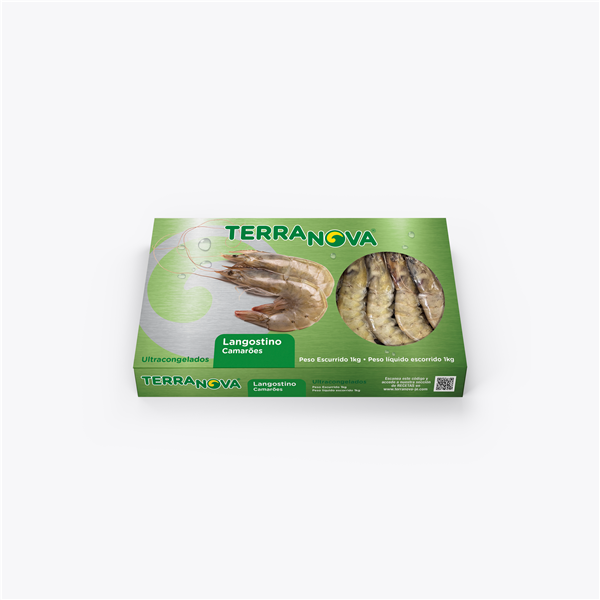 TERRANOVA  Y CORAL