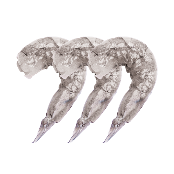 GAGROUP